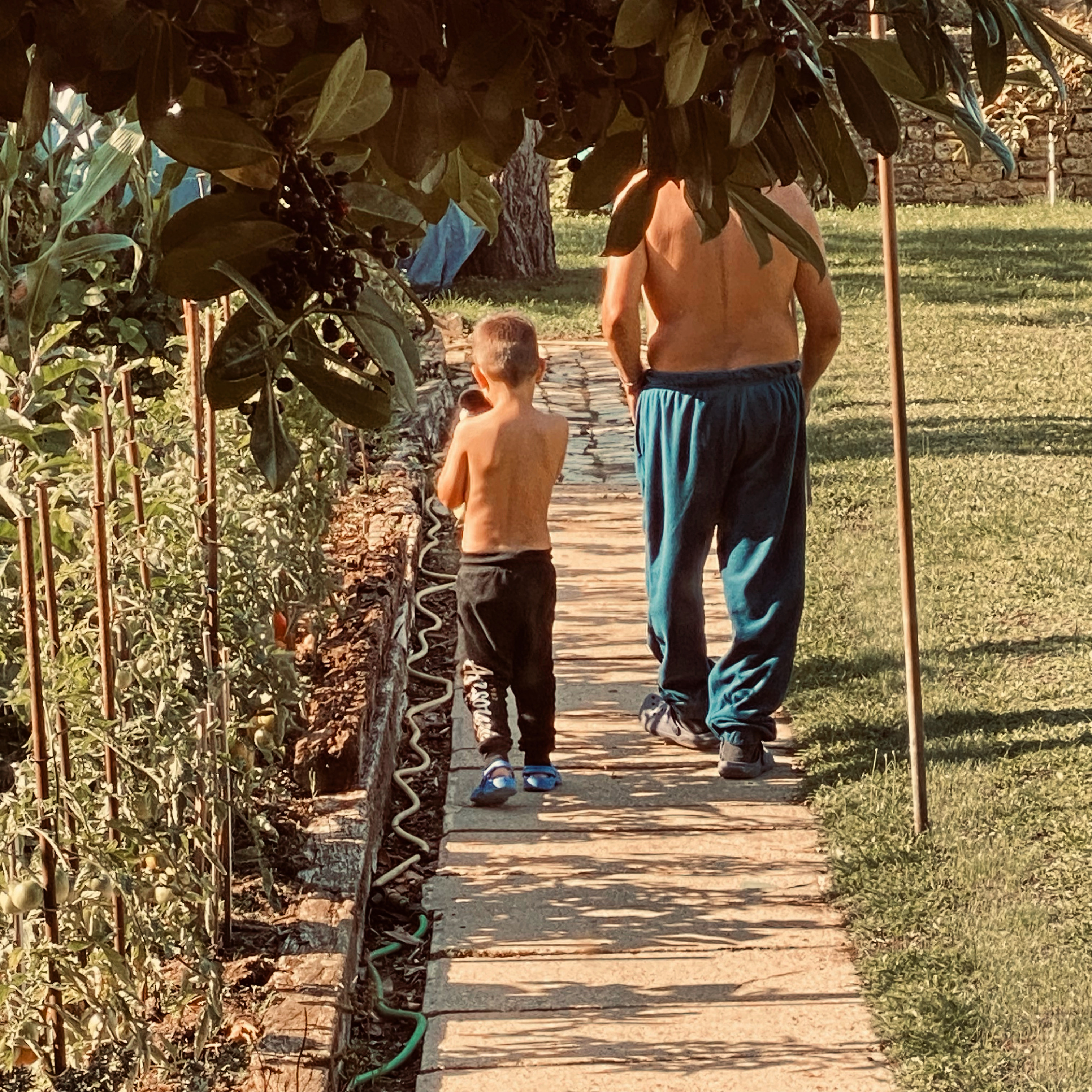 Mon fils et mon père marchant dans l'allée du jardin