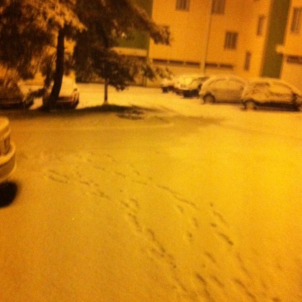 Tiens, voilà un peu de neige
